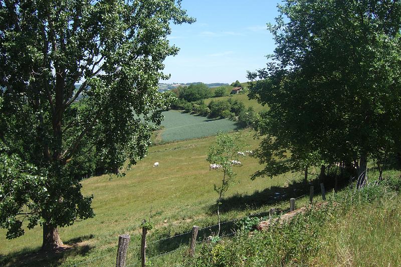 2011-05- (948).JPG